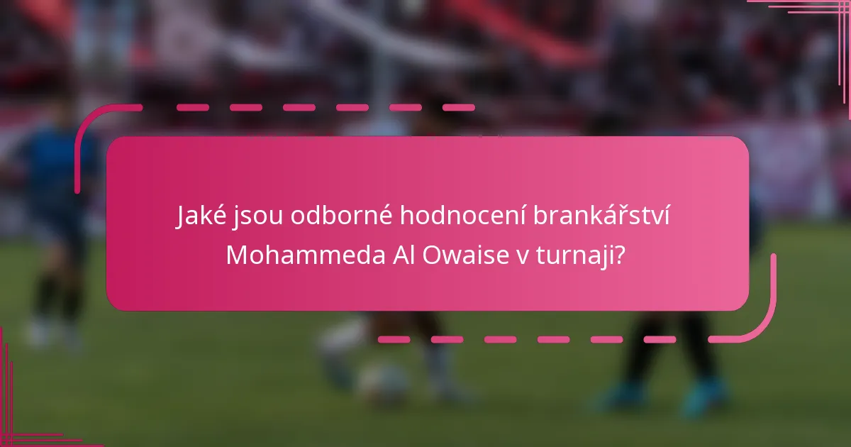 Jaké jsou odborné hodnocení brankářství Mohammeda Al Owaise v turnaji?
